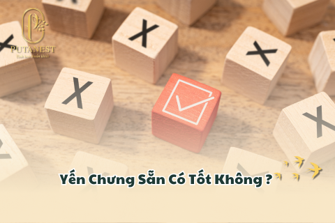 yến chưng sẵn có tốt không ?