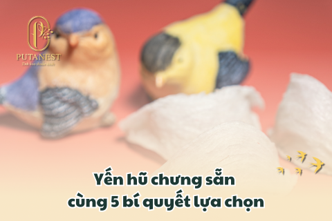 Yến hũ chưng sẵn