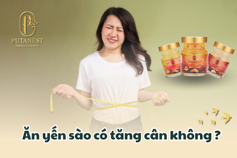 ăn yến sào có tăng cân không