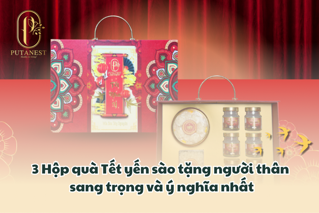 hộp quà tết yến sào