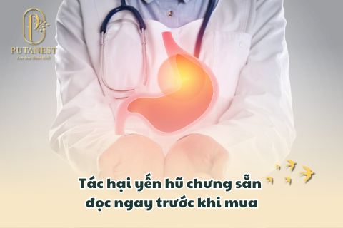 yến hũ chưng sẵn