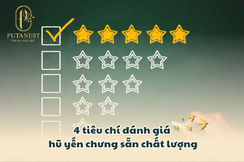 hũ yến chưng sẵn