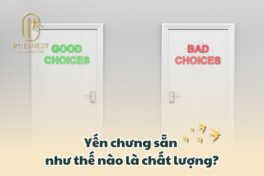 yến chưng sẵn