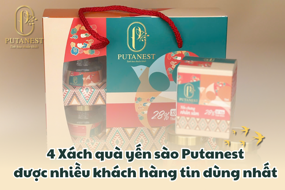xách quà putanest banner