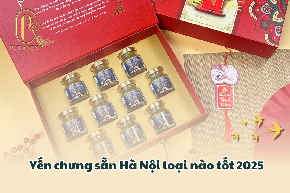 yến chưng sẵn hà nội loại nào tốt