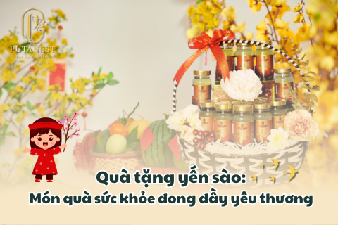 quà tặng yến sào