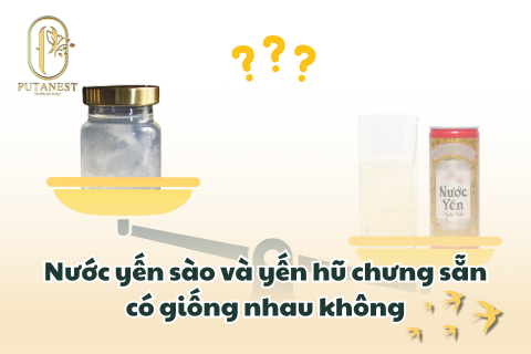 nước yến sào