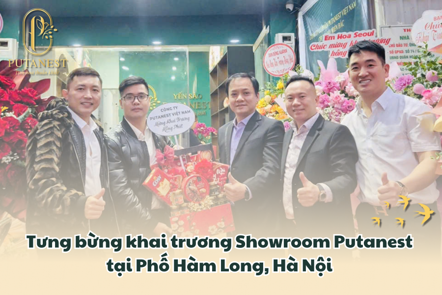 showroom putanest banner