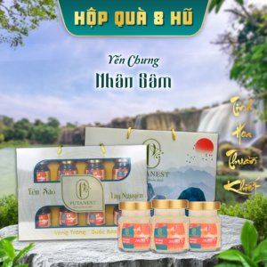 hộp an khang 6 hũ yến chưng nhân sâm 28