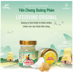 Yến Chưng Đường Phèn Lifegiving 2300mg